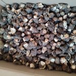 сушеные сморчки