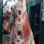 Быки молодняк охл. в полутушах