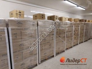 Инкубационное яйцо Росс308,Кобб500