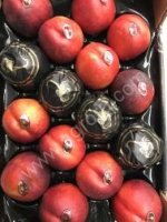 нектарин, фрукты