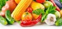 Консервы: маринады, первые обеденные блюда, полуфабрикаты овощные