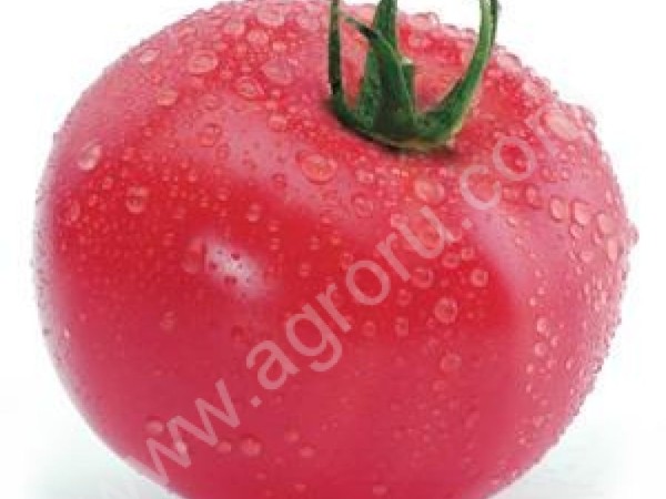 Семена розового томата КАСАМОРИ F1 (Китано)