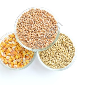 отруби пшеничные в фасованные кг