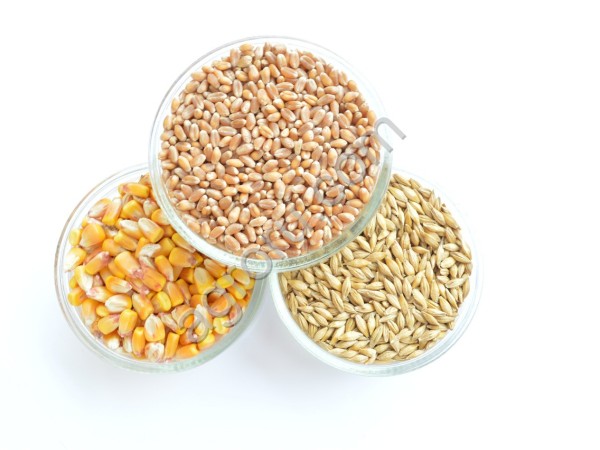 отруби пшеничные в фасованные 25 кг