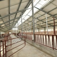 Проектирование и строительство коровников