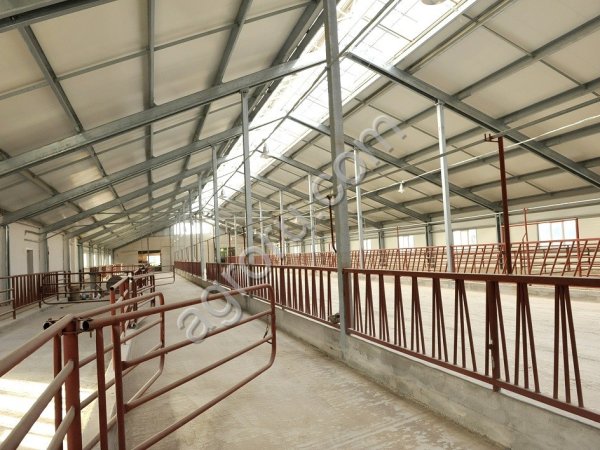 Проектирование и строительство коровников