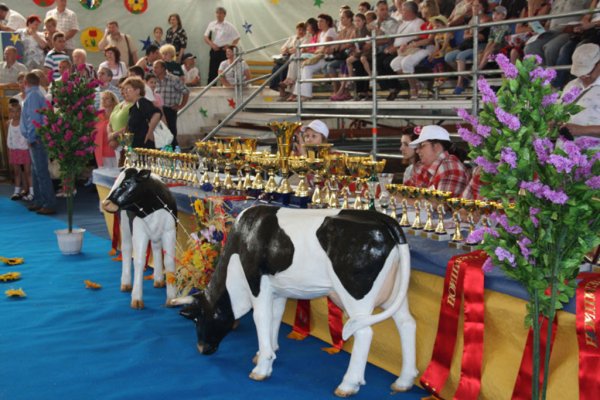 Секрет фермы