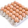 ЯЙЦО куриное Оптом