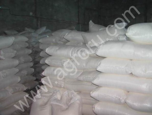 Стоимость бензина в РФ осталась на прежнем уровне