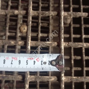 Картофель крупный Гала