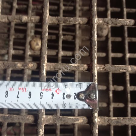 Картофель крупный Гала