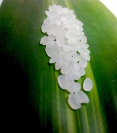 Плохой рис везли в Приморье из Вьетнама, Мьянмы и Таиланда