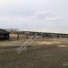 Животноводческая ферма