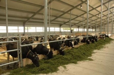 Молочные итоги работы за зимне - стойловый период