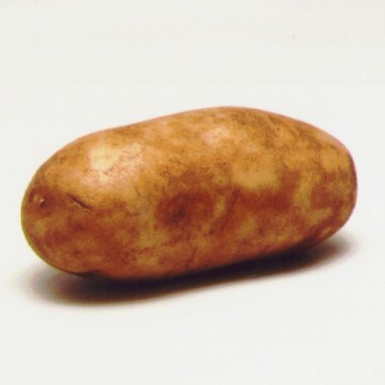 Белки сладкого картофеля - новая разновидность пищевых эмульгаторов
