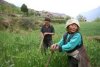 Ешь китайский огурец, есть мышьяк в нем и свинец