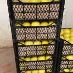 Яблоко Голден Импорт