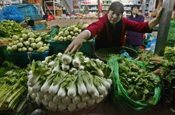 Аграрии Казахстана на 100% обеспечат страну ранними овощами к 2015 году