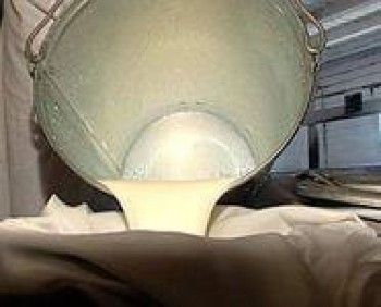 В Татарстане валовое производство молока за минувшие сутки составило 3174 т