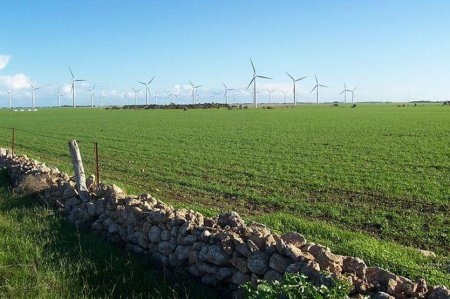 Ученые в сельском хозяйстве