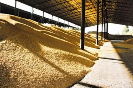 Китай отказался от зараженного зерна с Украины