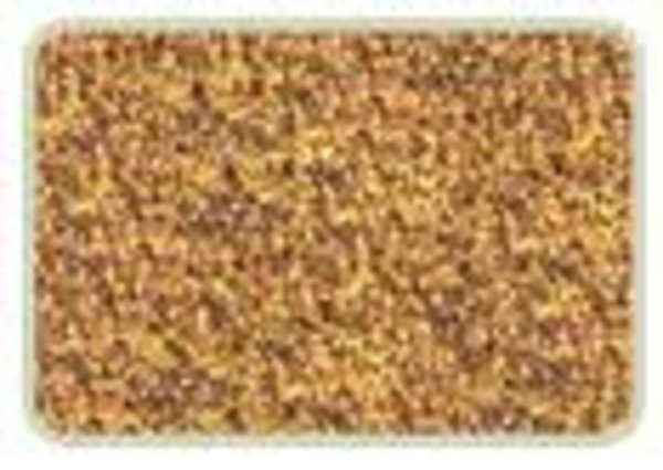 Канадский каноловый шрот пользуется высоким спросом на мировом рынке