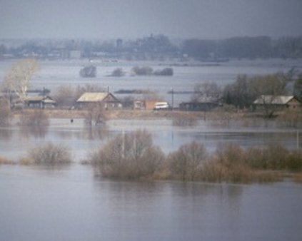 Пшеница и соя гниют на Амуре