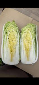 Пекинская капуста