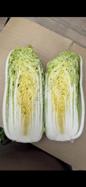 Пекинская капуста