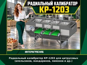 Радиальный калибратор КР-1203 для цитрусовых (апельсинов, мандаринов, лимонов и др.)