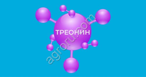 Треонин - кормовая добавка