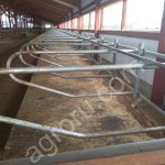 Стойловое оборудование для коров