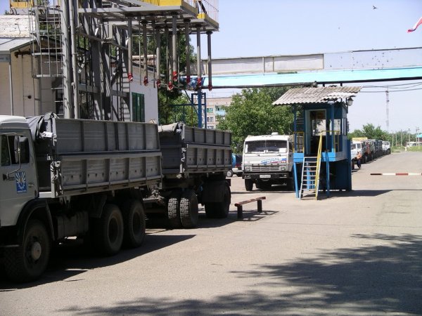 Урожай зерна в России может быть вдвое больше