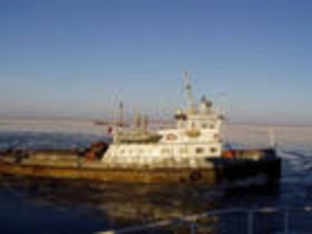 Экспорт пшеницы из Казахстана столкнется с сильной конкуренцией