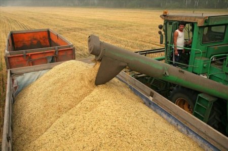 Минсельхоз РФ: Россия может увеличить экспорт зерна, мяса и масла в страны АСЕАН