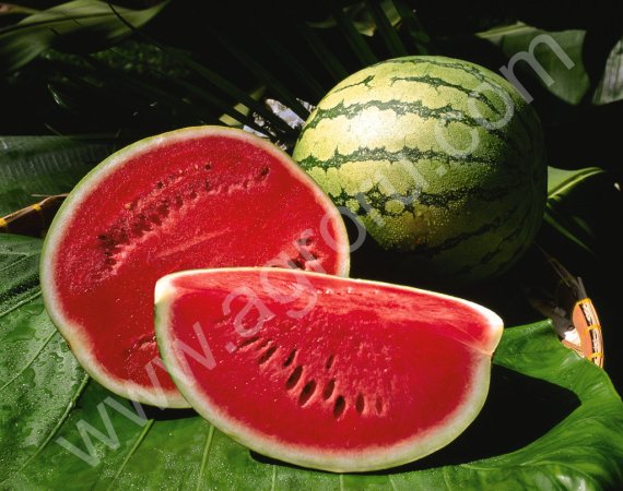 Хлеб может дорожать до осени