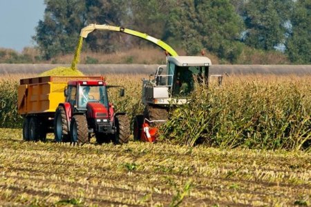 В Свердловской области рассчитывают собрать не менее 670 тысяч тонн зерновых