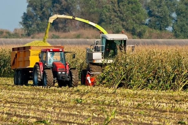 В Свердловской области рассчитывают собрать не менее 670 тысяч тонн зерновых