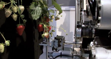 Новинка для лентяев