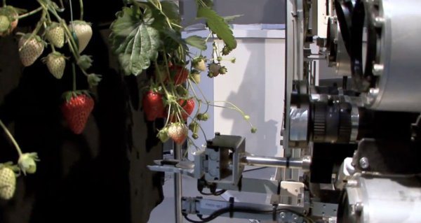 Новинка для лентяев