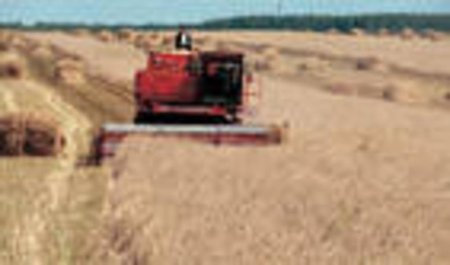 Валовой сбор зерна в Башкортостане превысил 1,6 миллиона тонн