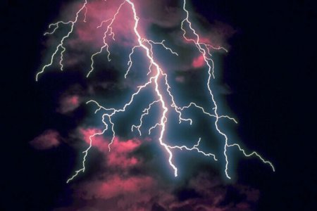 Молния убила коров на пастбище