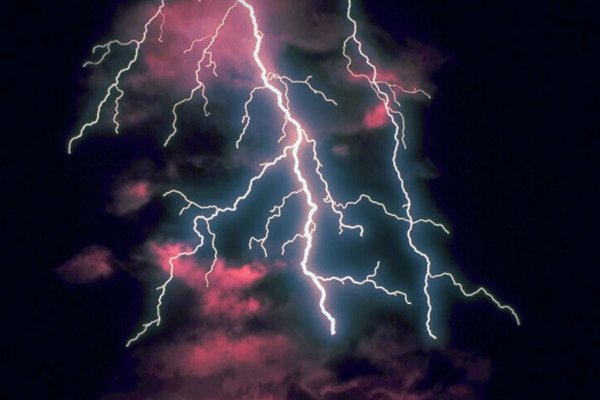 Молния убила коров на пастбище