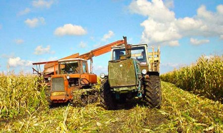 В Украине на 20 июля ранние зерновые и зернобобовые убраны с 72% площадей