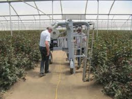 Инновационный центр GreenQ (Голландия): новые возможности обработки растений