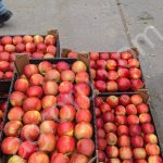 Яблоки оптом