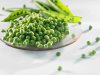 Особенности выращивания семян однолетних самоопыляющихся культур