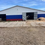 Ферма крс молочная с землей 1400 Га