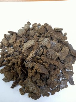 Жмых Грецкого ореха