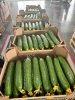Тепличный Огурец Гладкий Мева